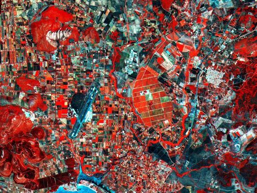 EO-1卫星拍摄的农作物假彩色卫星图