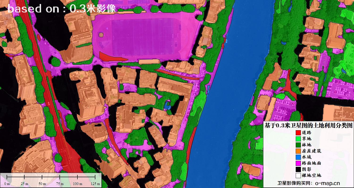 基于0.3米分辨率卫星图自动提取的土地利用分类图