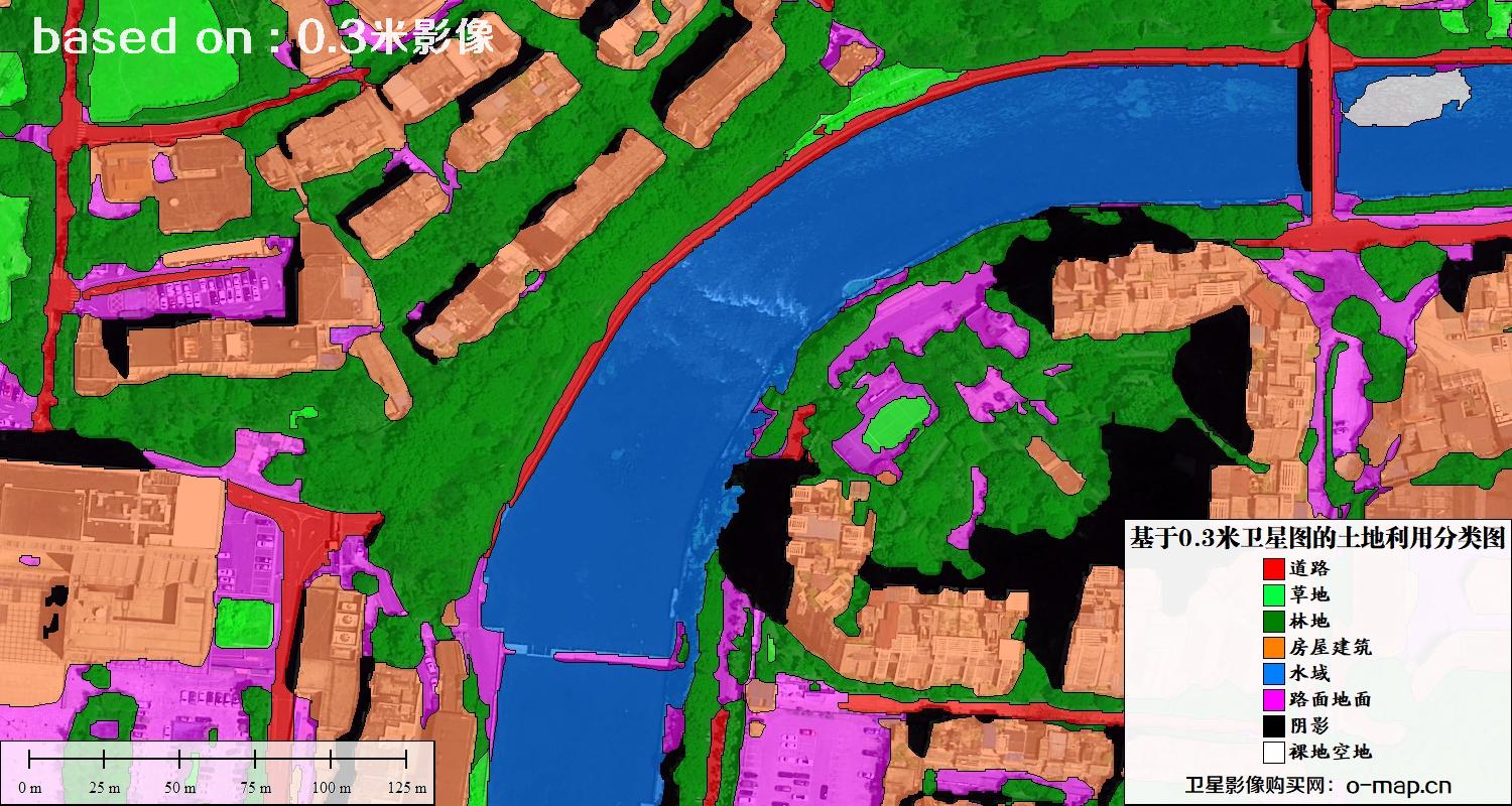 基于0.3米分辨率卫星图自动提取的土地利用分类图