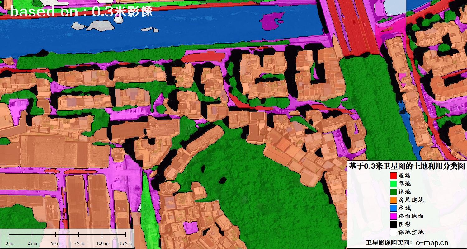 基于0.3米分辨率卫星图自动提取的土地利用分类图