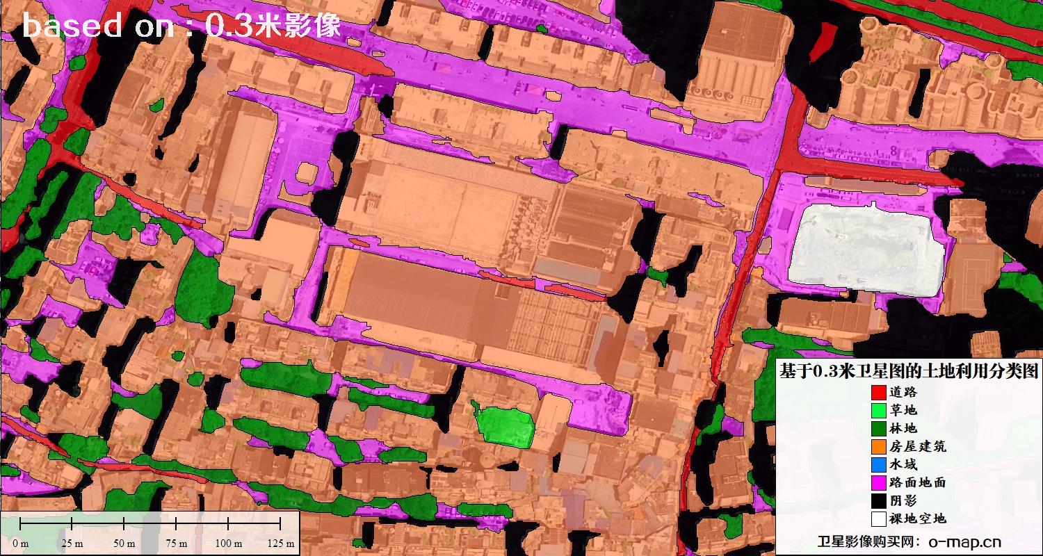 基于0.3米分辨率卫星图自动提取的土地利用分类图