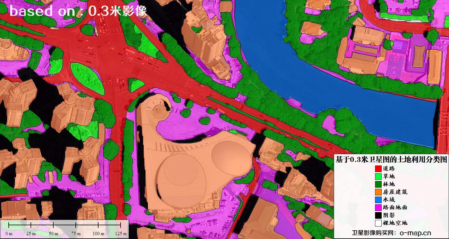 基于0.3米分辨率卫星图自动提取的土地利用分类图