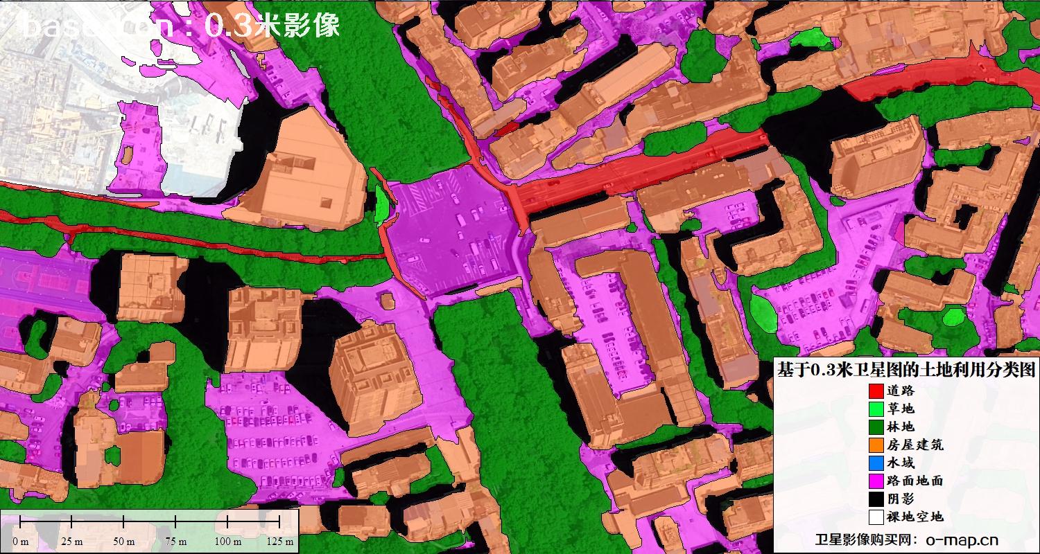 基于0.3米分辨率卫星图自动提取的土地利用分类图