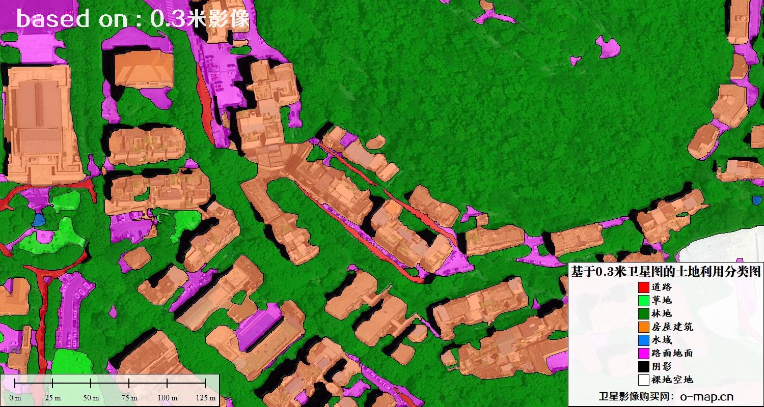 基于0.3米分辨率卫星图自动提取的土地利用分类图