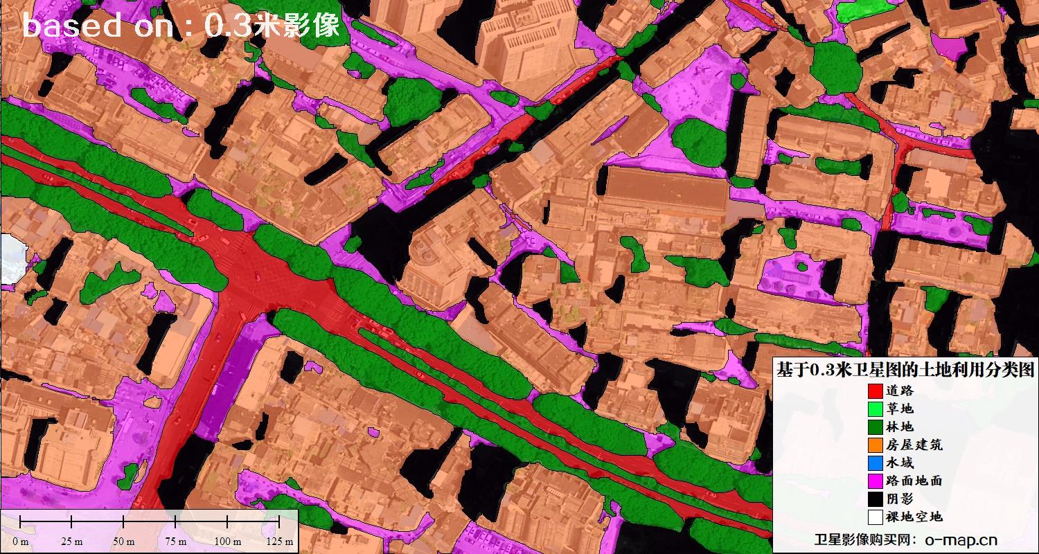 基于0.3米分辨率卫星图自动提取的土地利用分类图