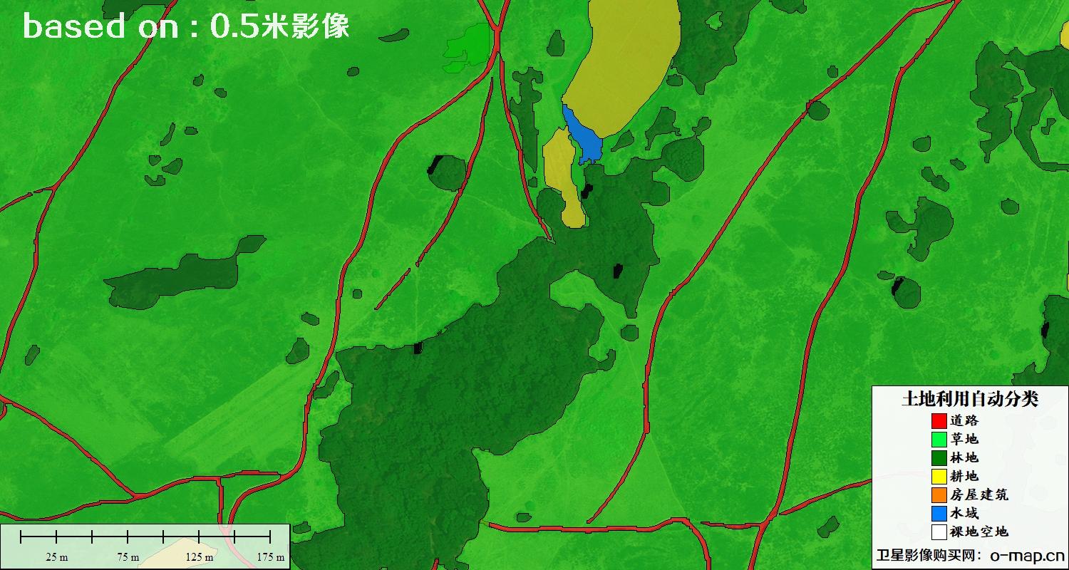 基于0.5米分辨率卫星图自动解译的土地利用分类图