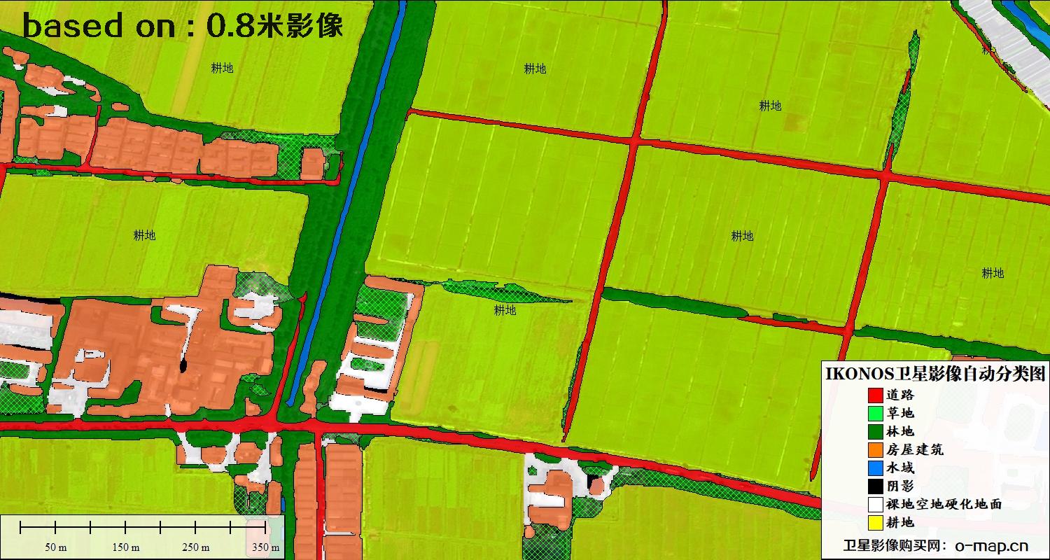 天津市0.8米IKONOS卫星影像自动分类图