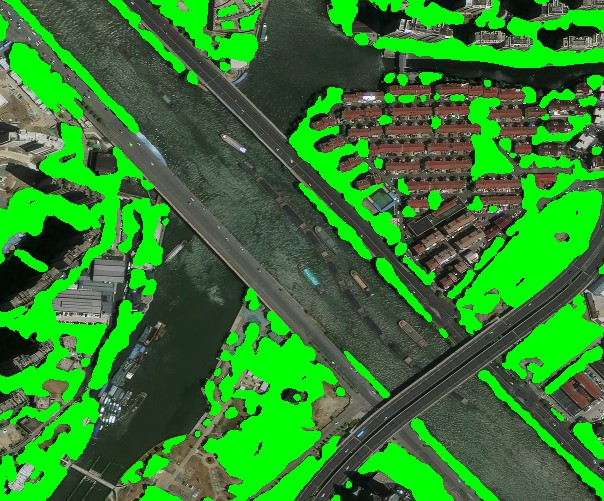 AI recognizes vegetation based on 0.5m satellite image.