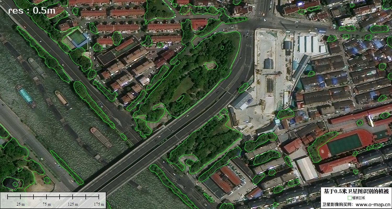AI基于0.5米分辨率影像图解译识别的植被分类