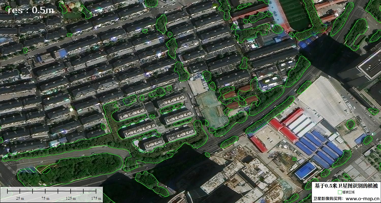 AI基于0.5米分辨率影像图解译识别的植被分类