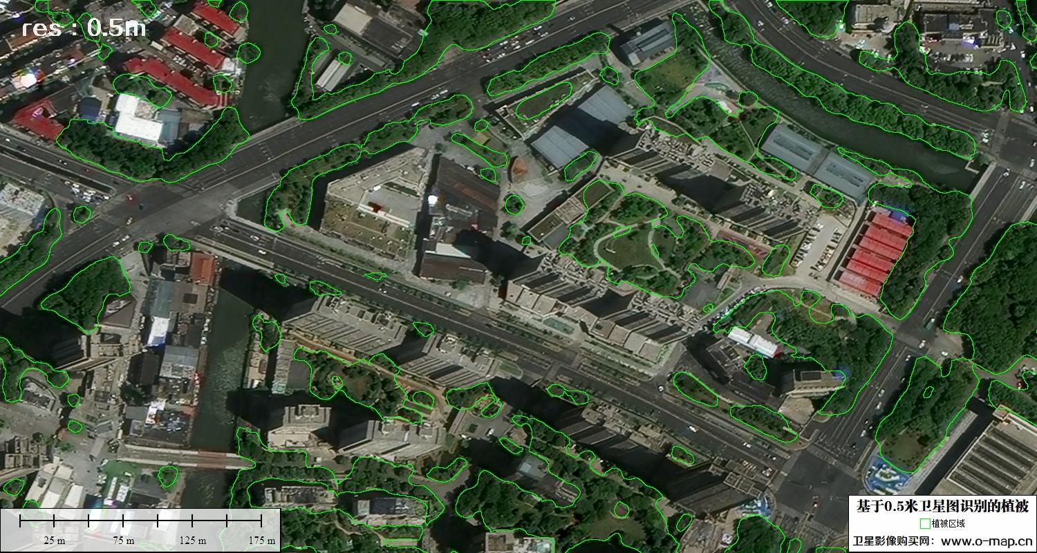 AI基于0.5米分辨率影像图解译识别的植被分类