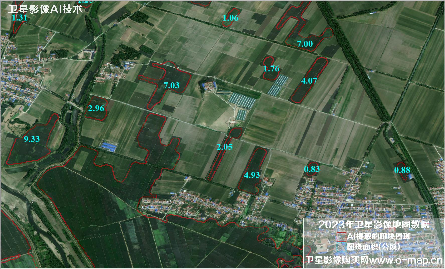 AI基于卫星影像提取水田地块分布图斑以及面积统计