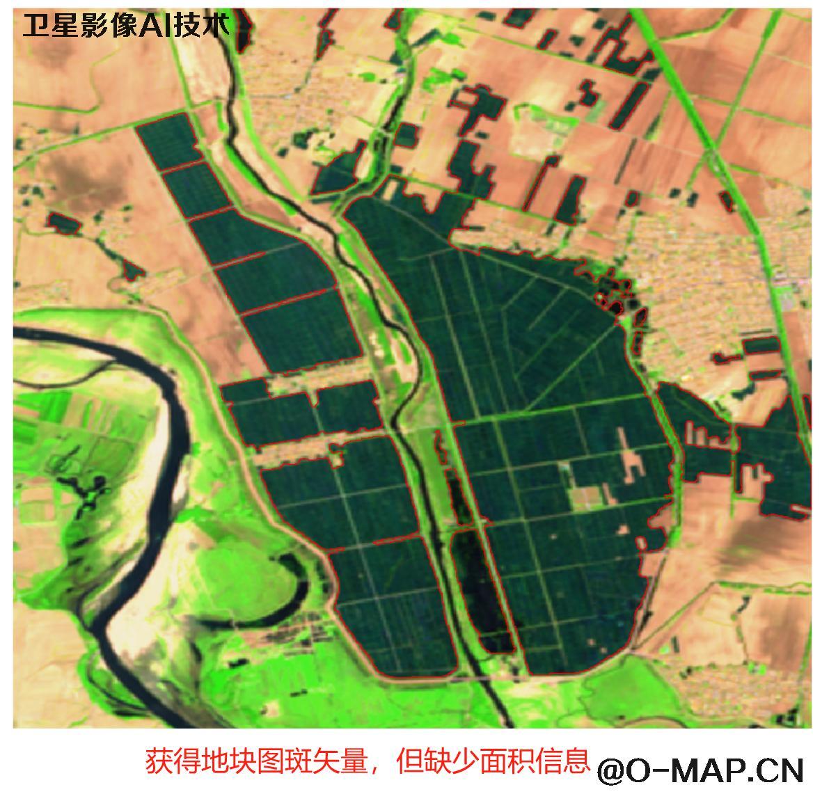 AI基于卫星影像提取水田地块分布图斑以及面积统计