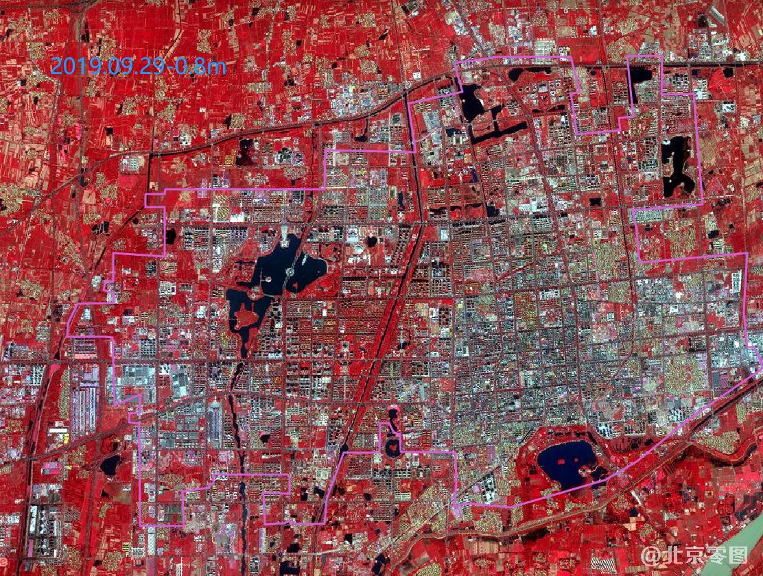滨州市建成区卫星影像-2019年9月份