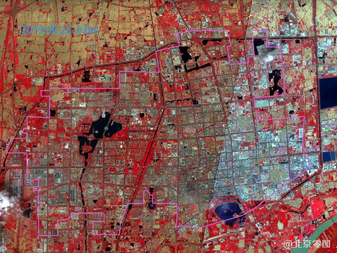 滨州市建成区卫星影像-2019年6月份