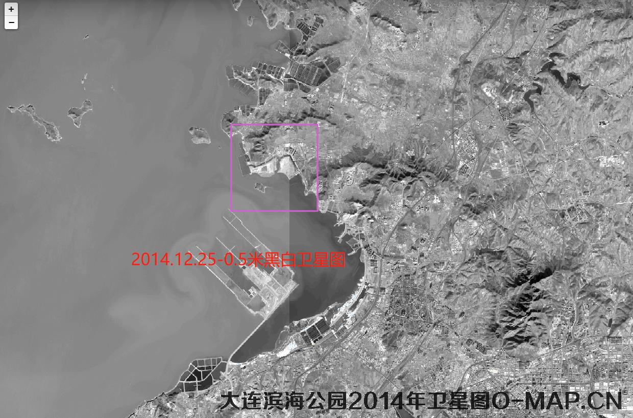 辽宁省大连市2014年12月份WorldView1卫星图