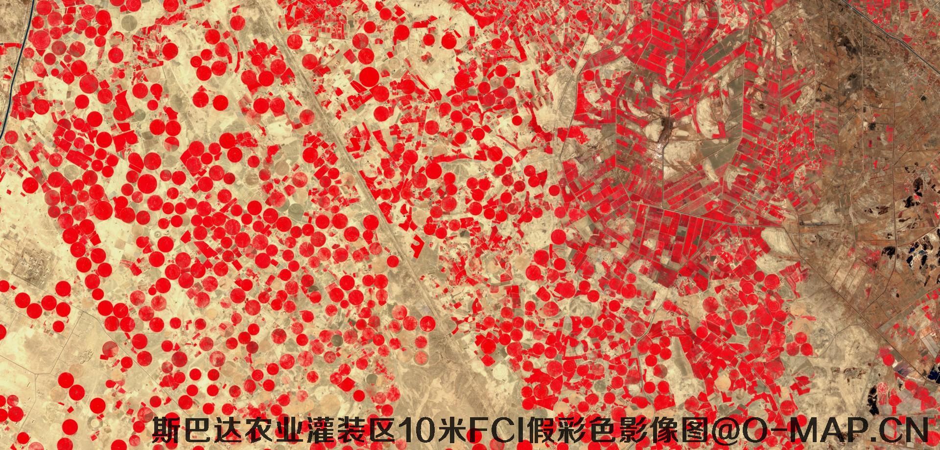 斯巴达市农业灌装区10米FCI假彩色影像图