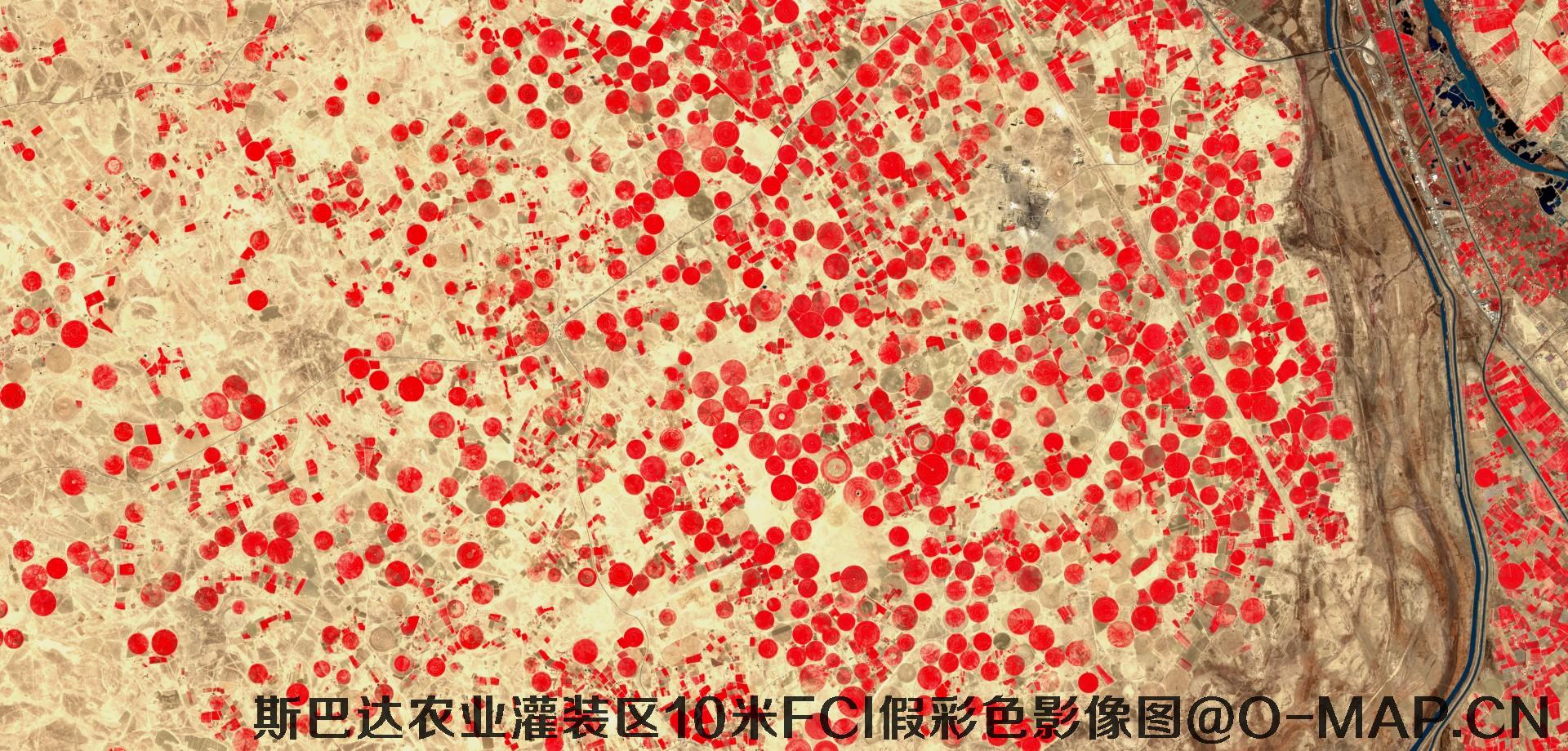 斯巴达市农业灌装区10米FCI假彩色影像图