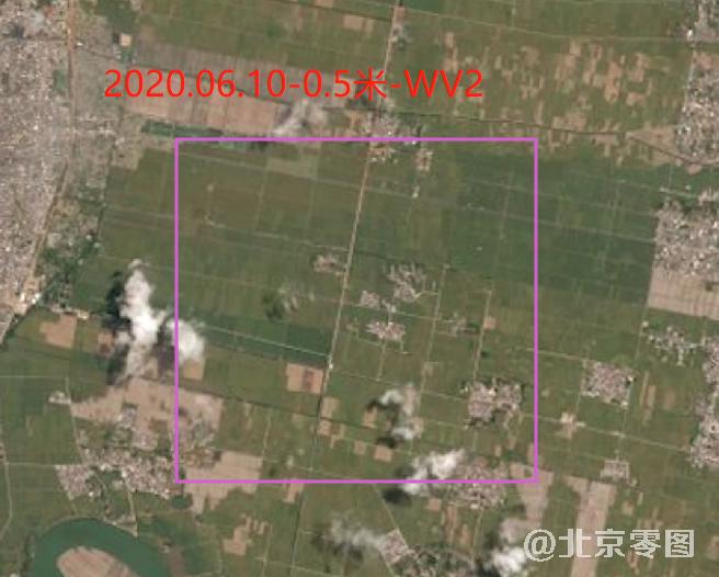 2020年6月份水稻生长周期卫星影像数据（预览图）
