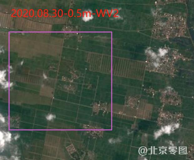 2020年8月份水稻生长周期卫星影像数据（预览图）