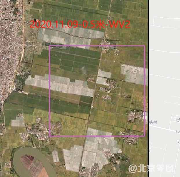 2020年11月份水稻生长周期卫星影像数据（预览图）