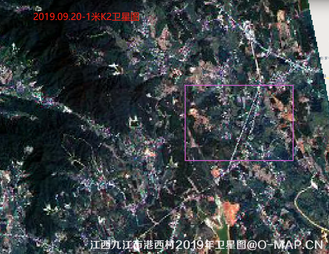 江西九江市港西村2019年历史卫星图