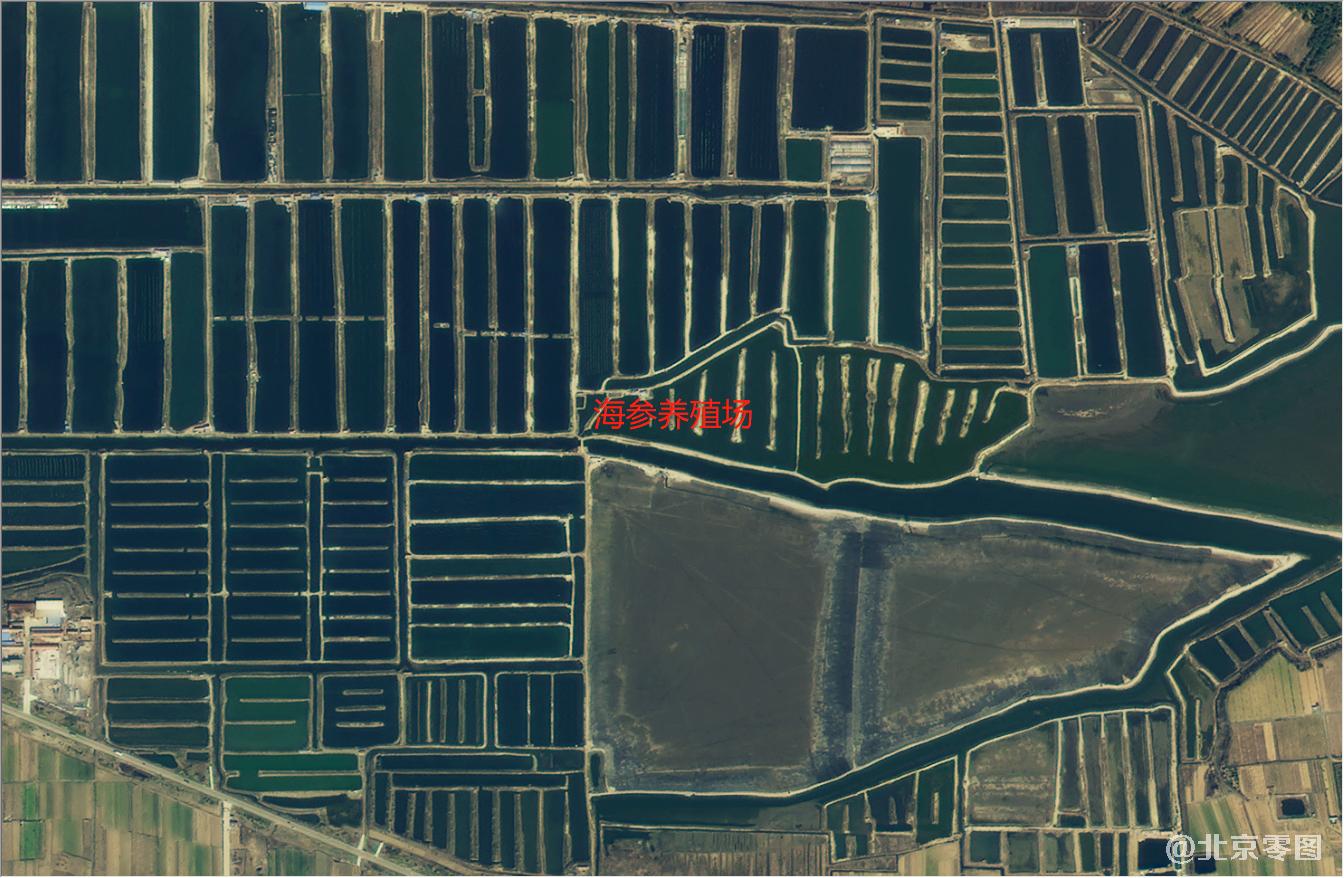 荣成海参养殖场卫星影像图