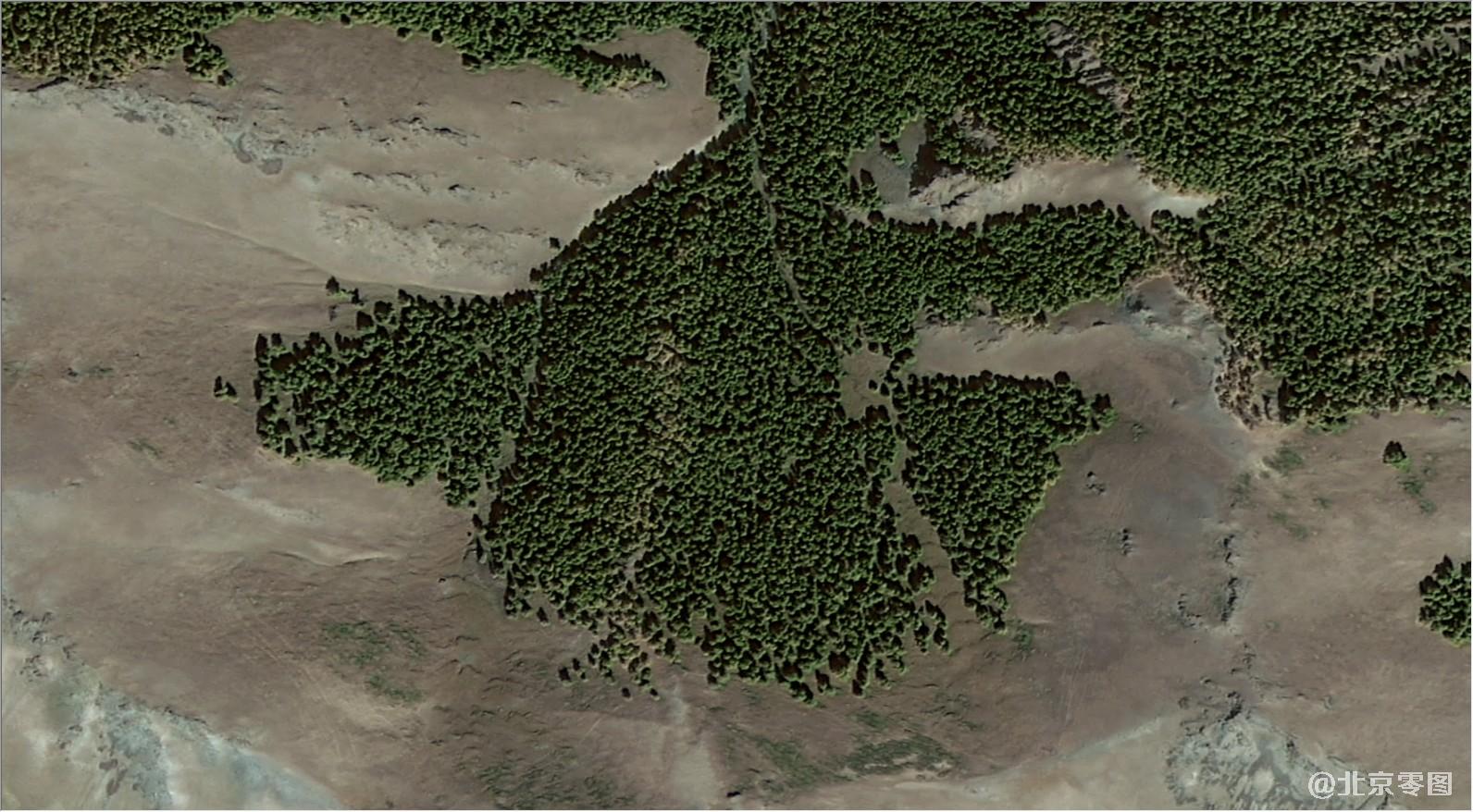 高分二号卫星拍摄的卫星图-森林局部1