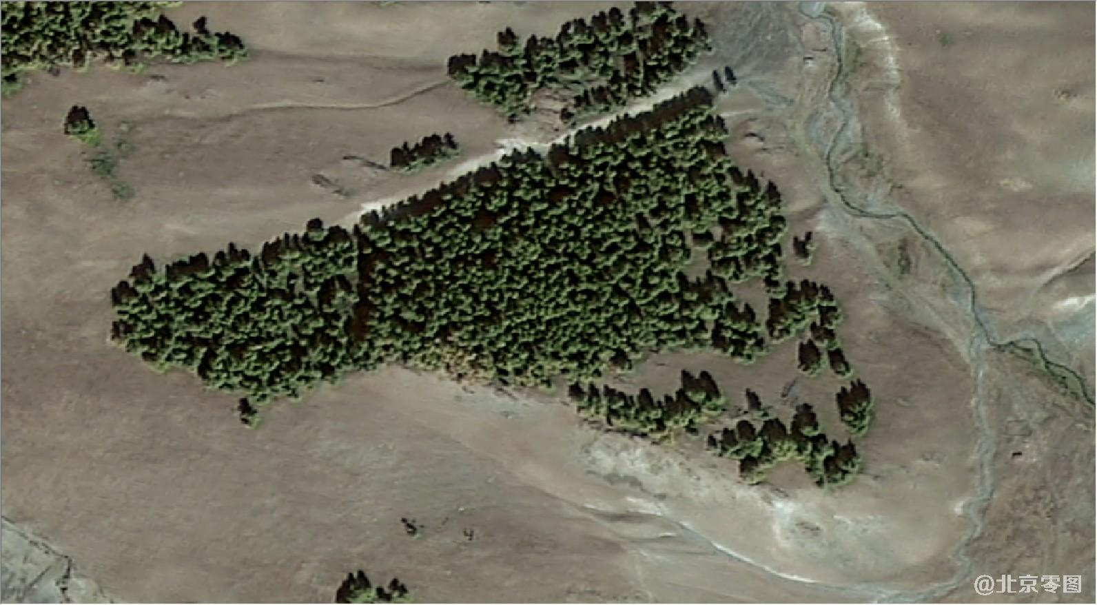 高分二号卫星拍摄的卫星图-森林局部