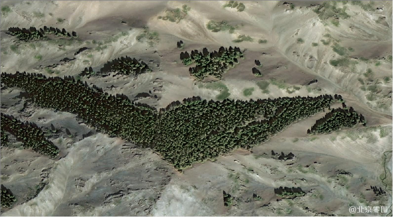 高分二号卫星拍摄的卫星图-v字型林木