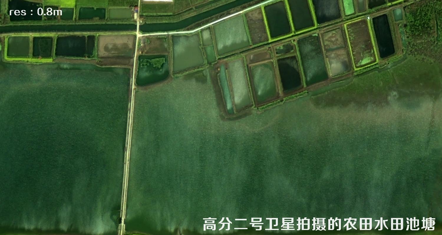 高分二号卫星拍摄的农田水田和池塘等