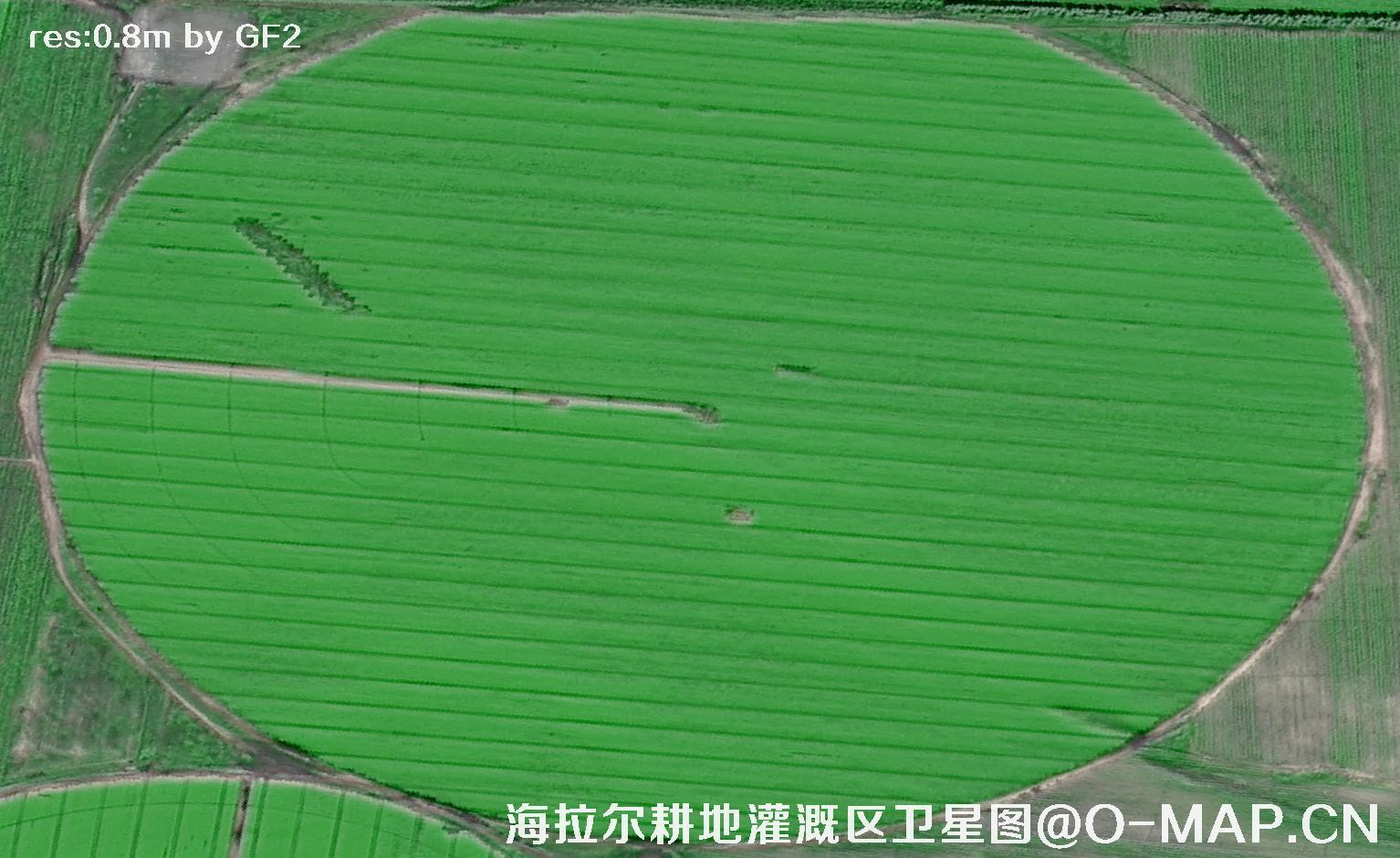 内蒙古呼伦贝尔海拉尔耕地灌溉区域2021卫星图