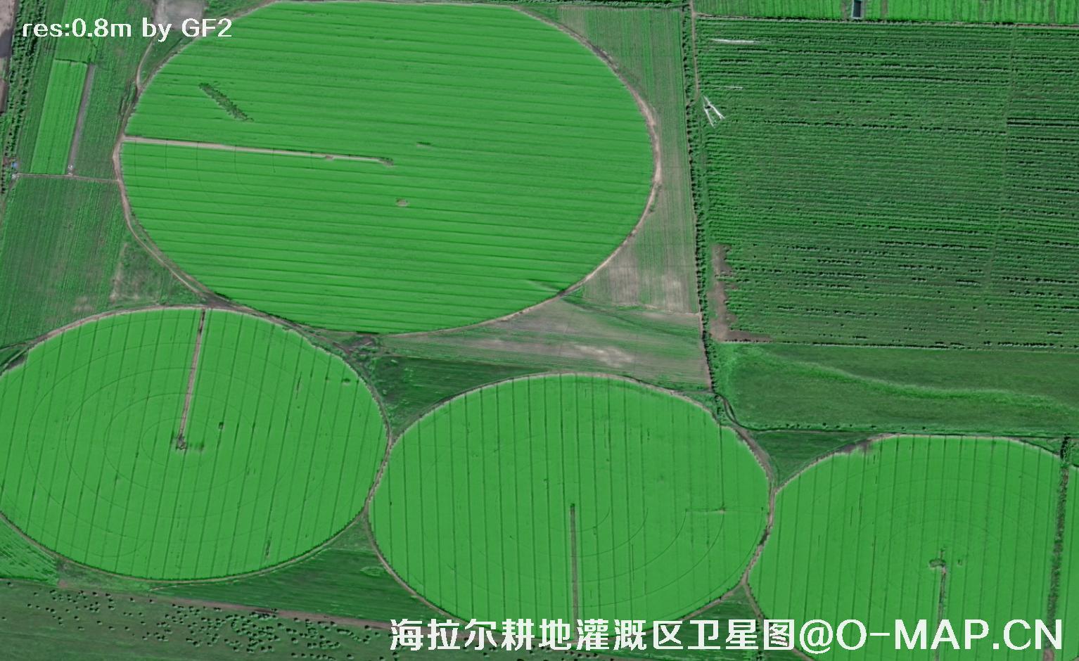 内蒙古呼伦贝尔海拉尔耕地灌溉区域2021卫星图