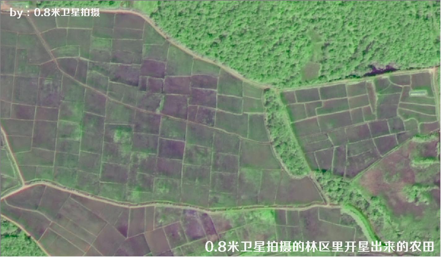 0.8米卫星拍摄的林区里开垦出来的农田，可用于林业执法督察