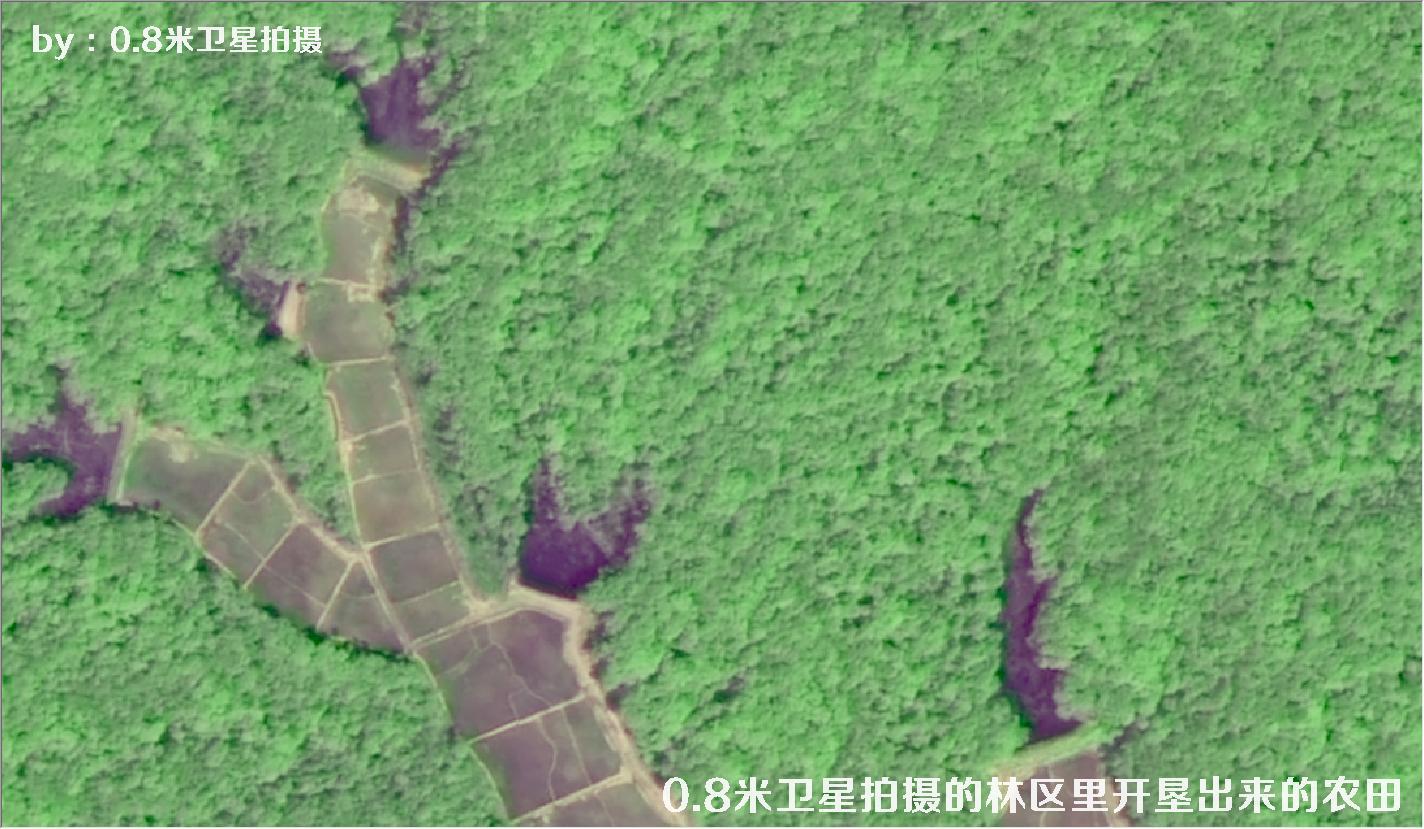 0.8米卫星拍摄的林区里开垦出来的农田，可用于林业执法督察