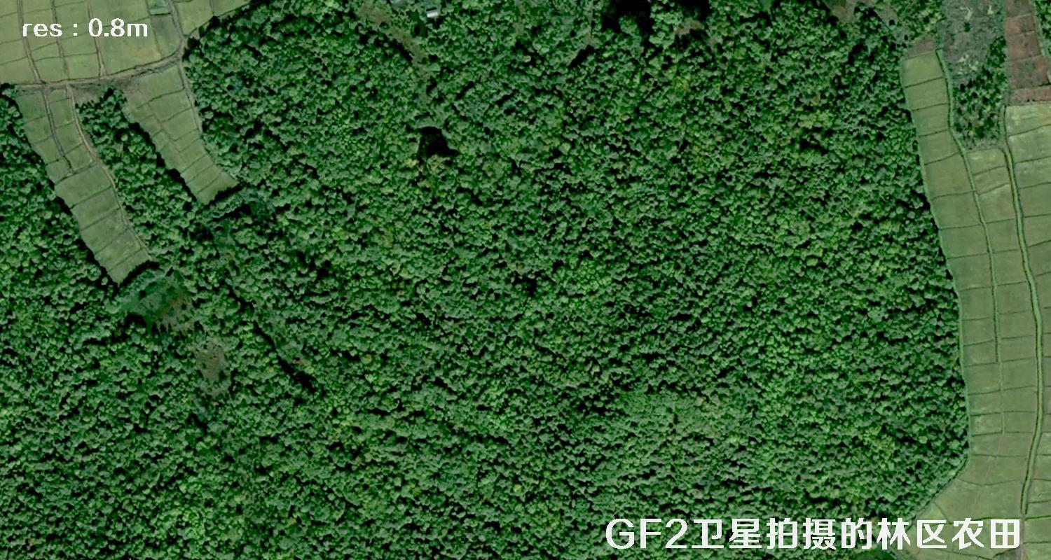 0.8米分辨率GF2卫星拍摄的黑龙江某林场的林区农田