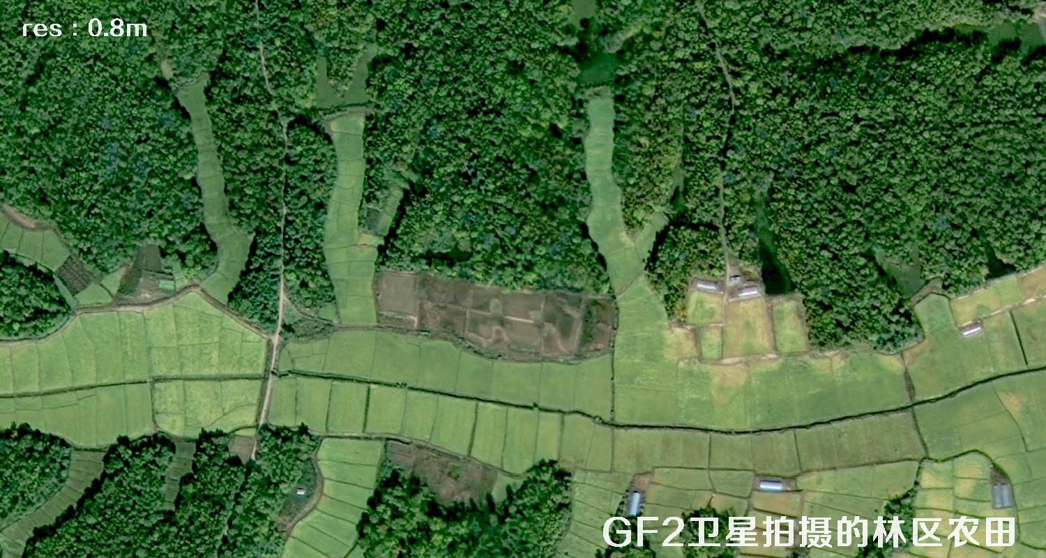 0.8米分辨率GF2卫星拍摄的黑龙江某林场的林区农田