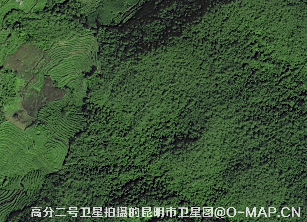0.8米分辨率影像图
