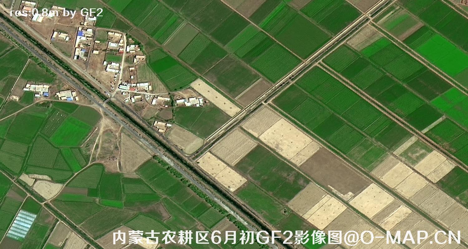 内蒙古巴彦淖尔地区6月初的农耕区高分二号卫星图