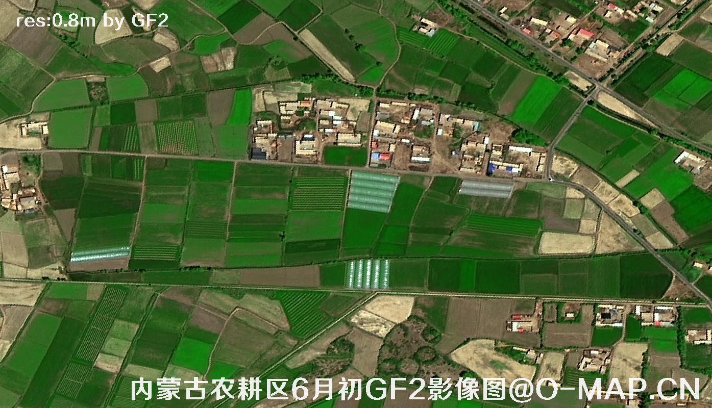 内蒙古巴彦淖尔地区6月初的农耕区高分二号卫星图