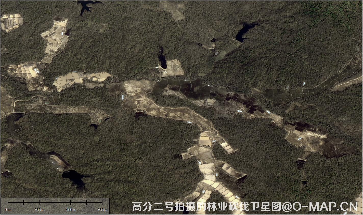 高分二号拍摄的林业砍伐卫星图