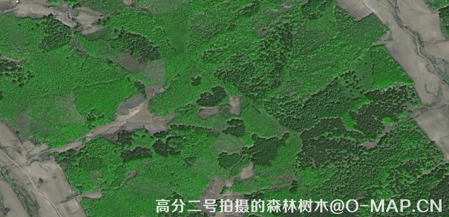 中国第一颗0.8米卫星高分二号拍摄的森林树木图片