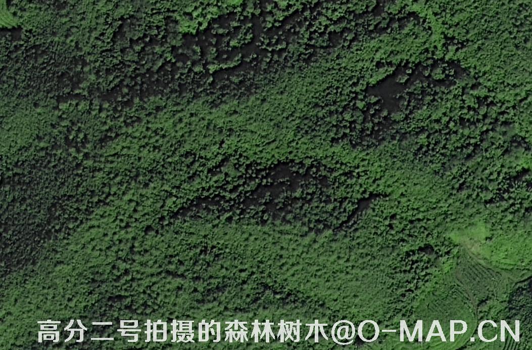 0.8-meter resolution GF2 Satellite Images