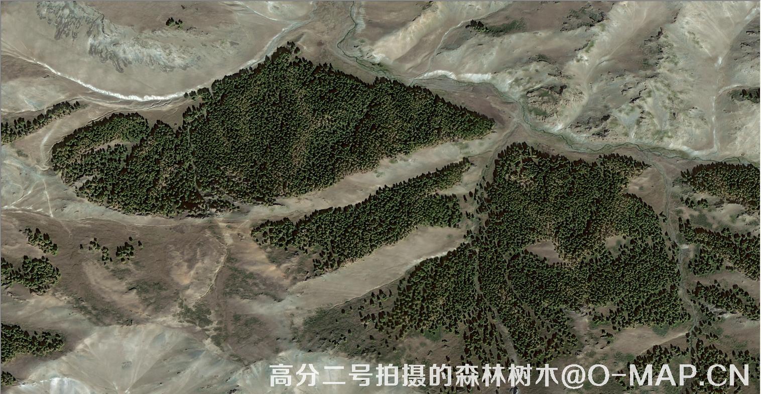 中国第一颗0.8米卫星高分二号拍摄的森林树木图片