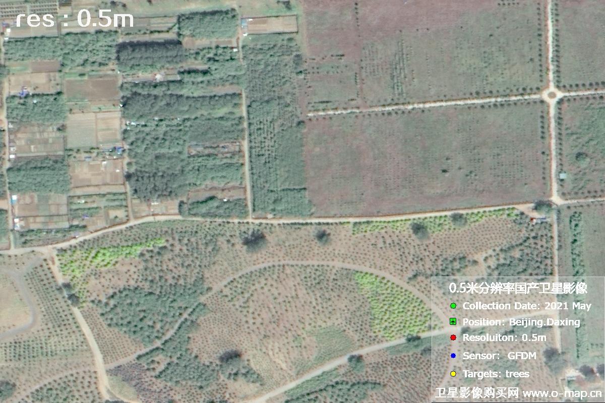 0.5米分辨率GFDM高分多模卫星拍摄的树林影像图