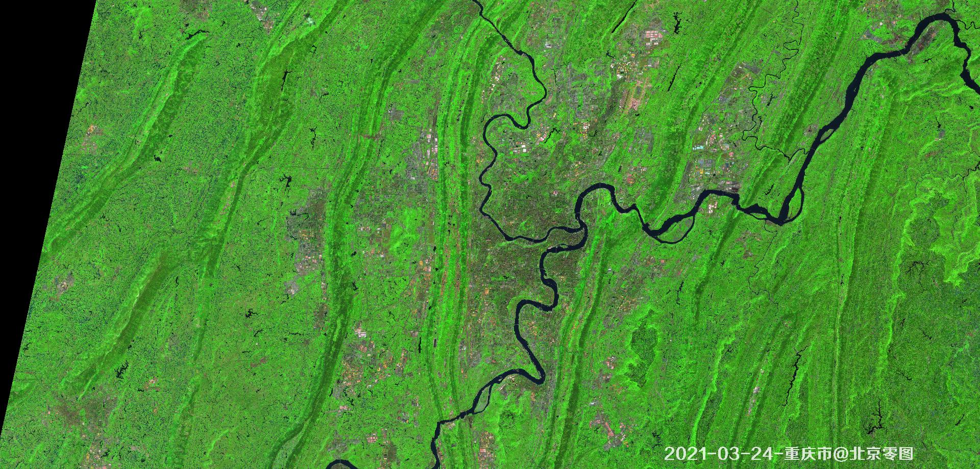 重庆市2021年绿化现状卫星图