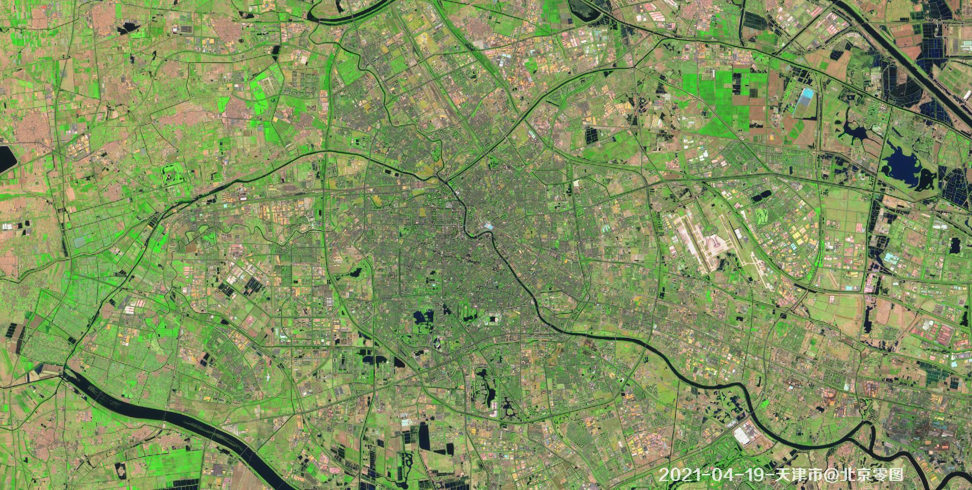天津市2021年绿化现状卫星图