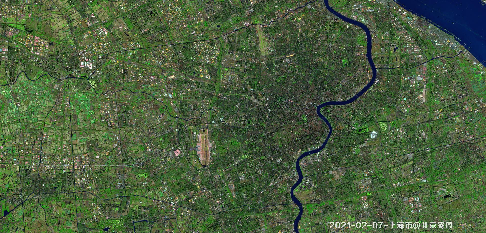 上海市2021年绿化现状卫星图