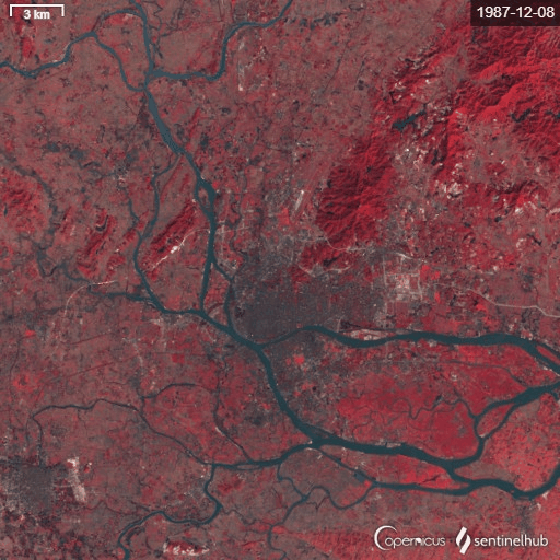 广州市1984年到2012年城市植被变化卫星图