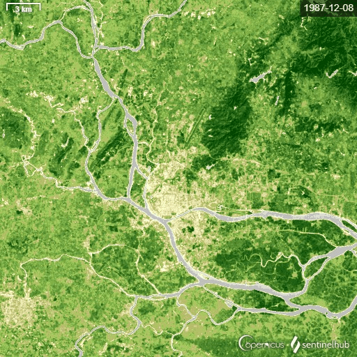 广州市1984年到2012年城市绿化变化卫星图